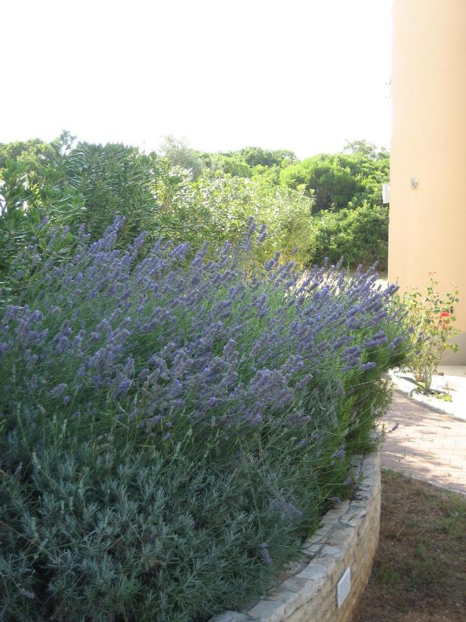 Villa „Drei Palmen“ 圣菲利普雅科夫 外观 照片