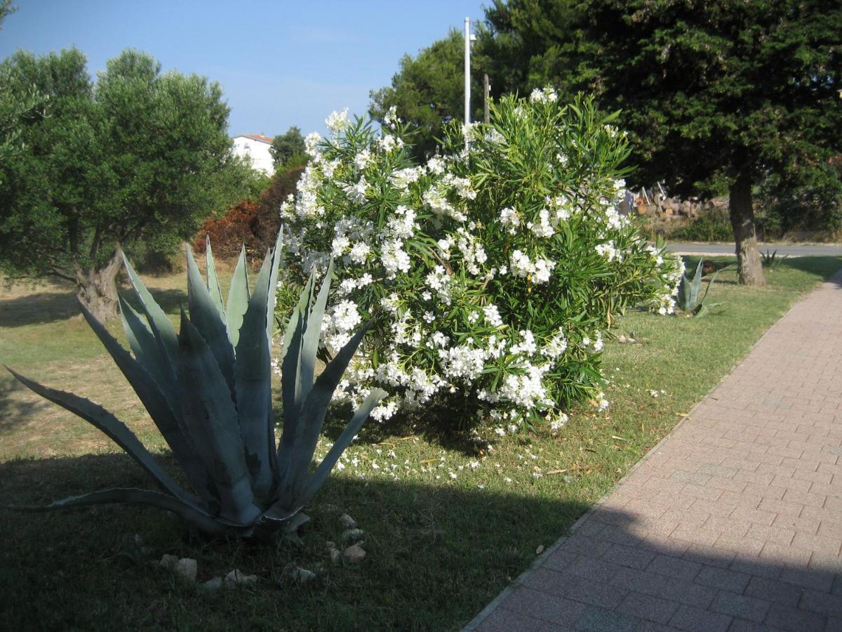 Villa „Drei Palmen“ 圣菲利普雅科夫 外观 照片